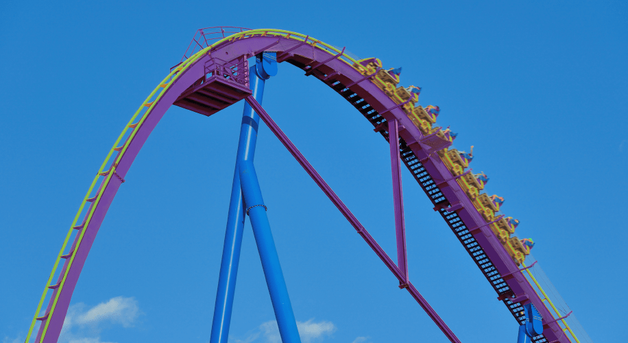 Don’t flounder as a founder: 10 tips to help you stay on board the&nbsp;rollercoaster